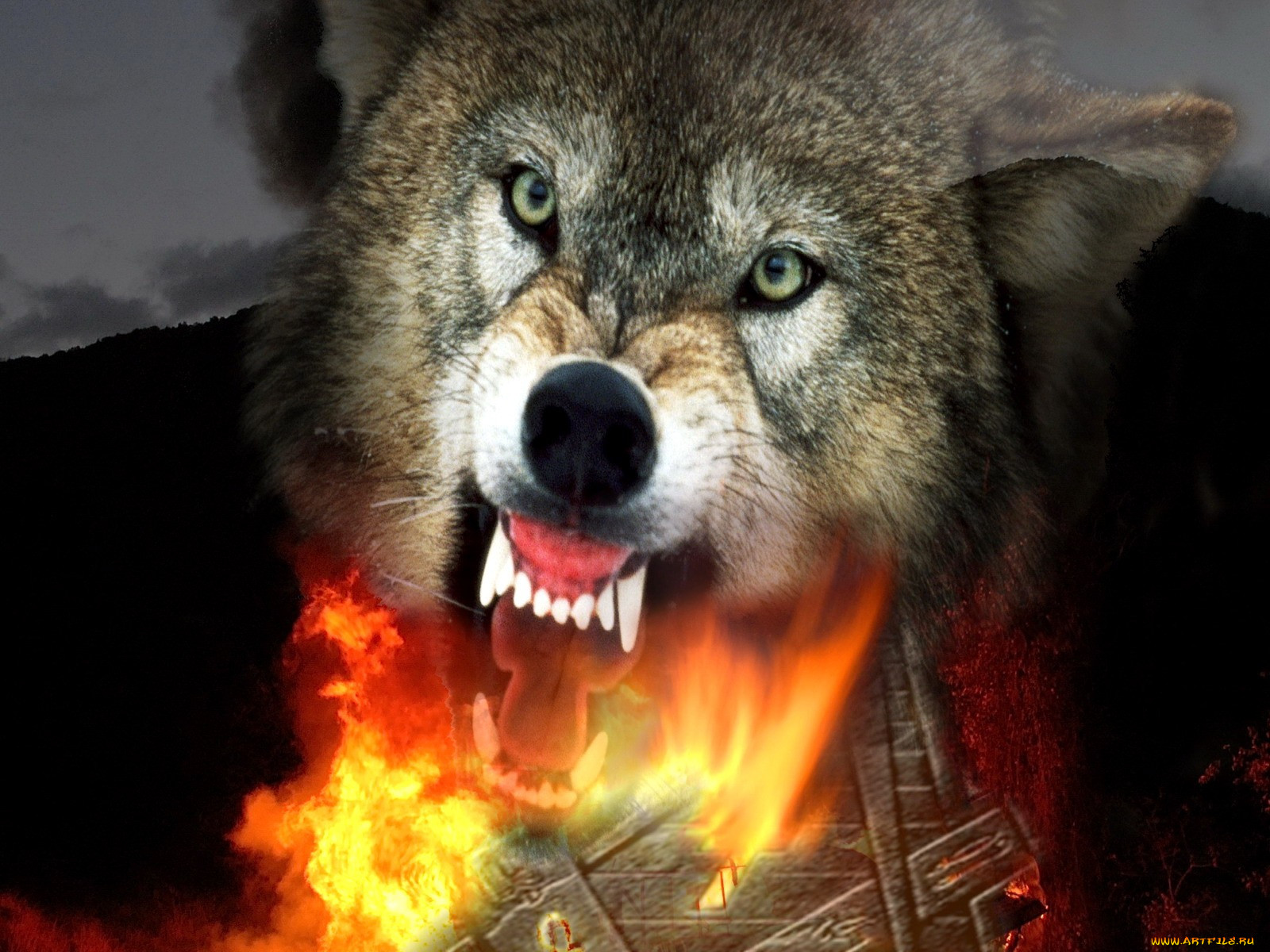 timberwolf, , 